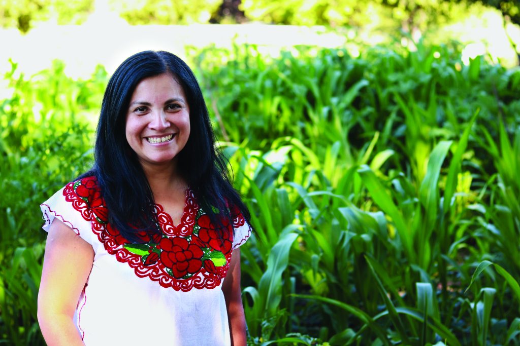 Fanny Guadalupe Blauer, board member of Artes de Mexico