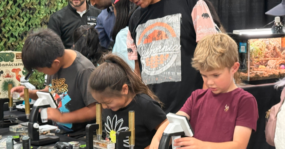 People of all ages engaged in activities during the 11th annual STEMFest. (Julie Slama/City Journals)